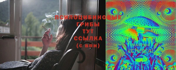 прущий лед Гусев