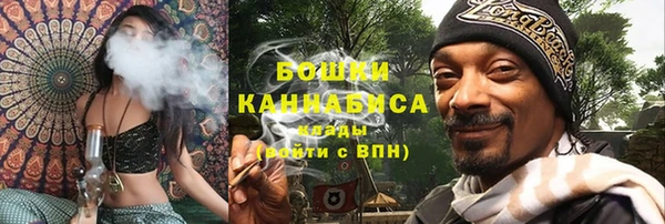 прущий лед Гусев