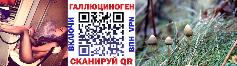 Галлюциногенные грибы прущие грибы мориарти телеграм Весьегонск